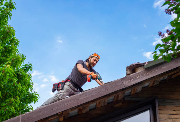 Best Emergency Roof Repair Services  in Clay, CA